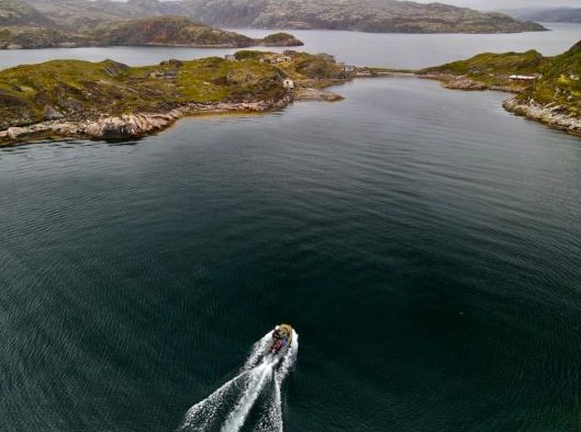 Barents Sea. Daily diving